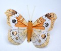 207754 Veren vlinder 